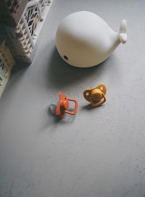 Pacifiers 2-pack - Rust +6 months