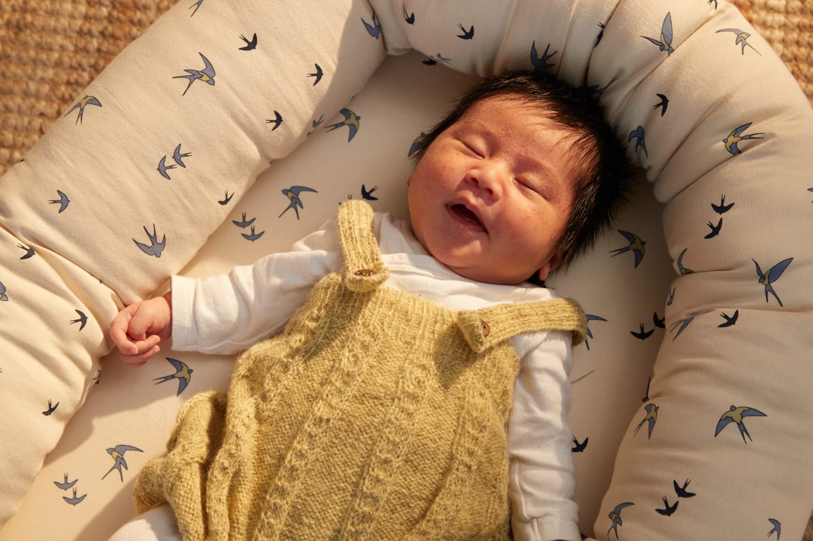Babynest - Dancing Swallow Blue