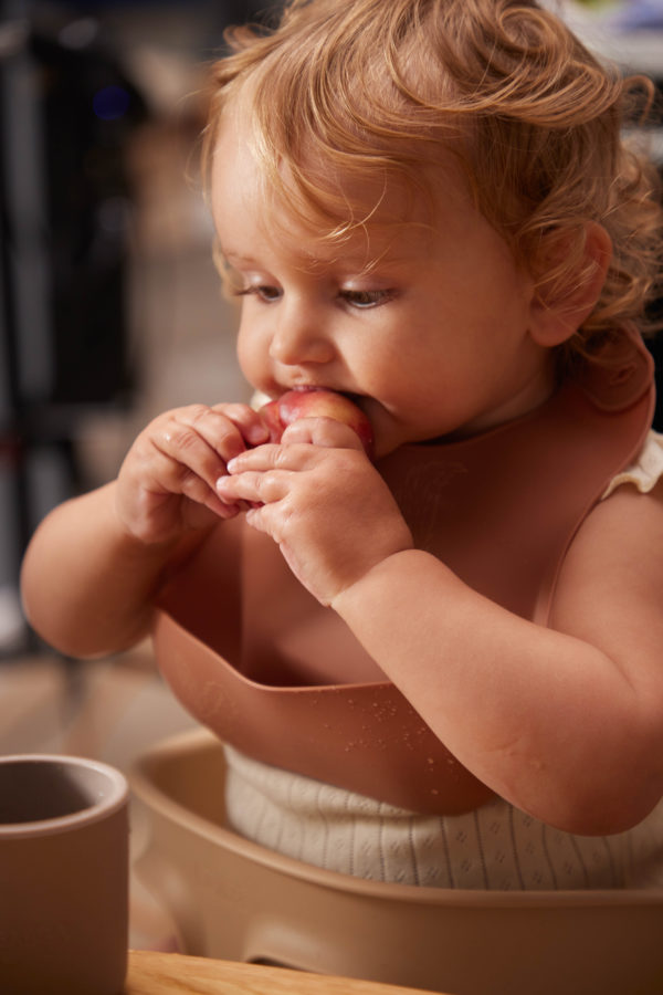 Silikonlätzchen - Eichhörnchen