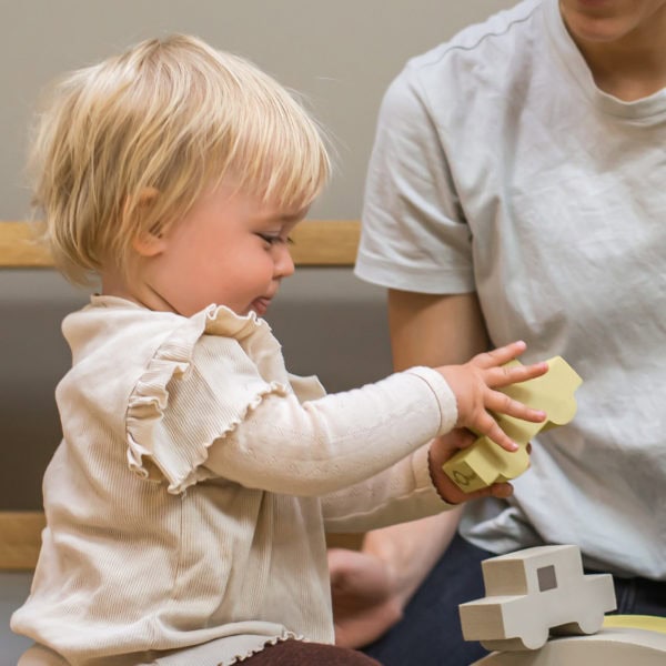Town cars mini Stockholm