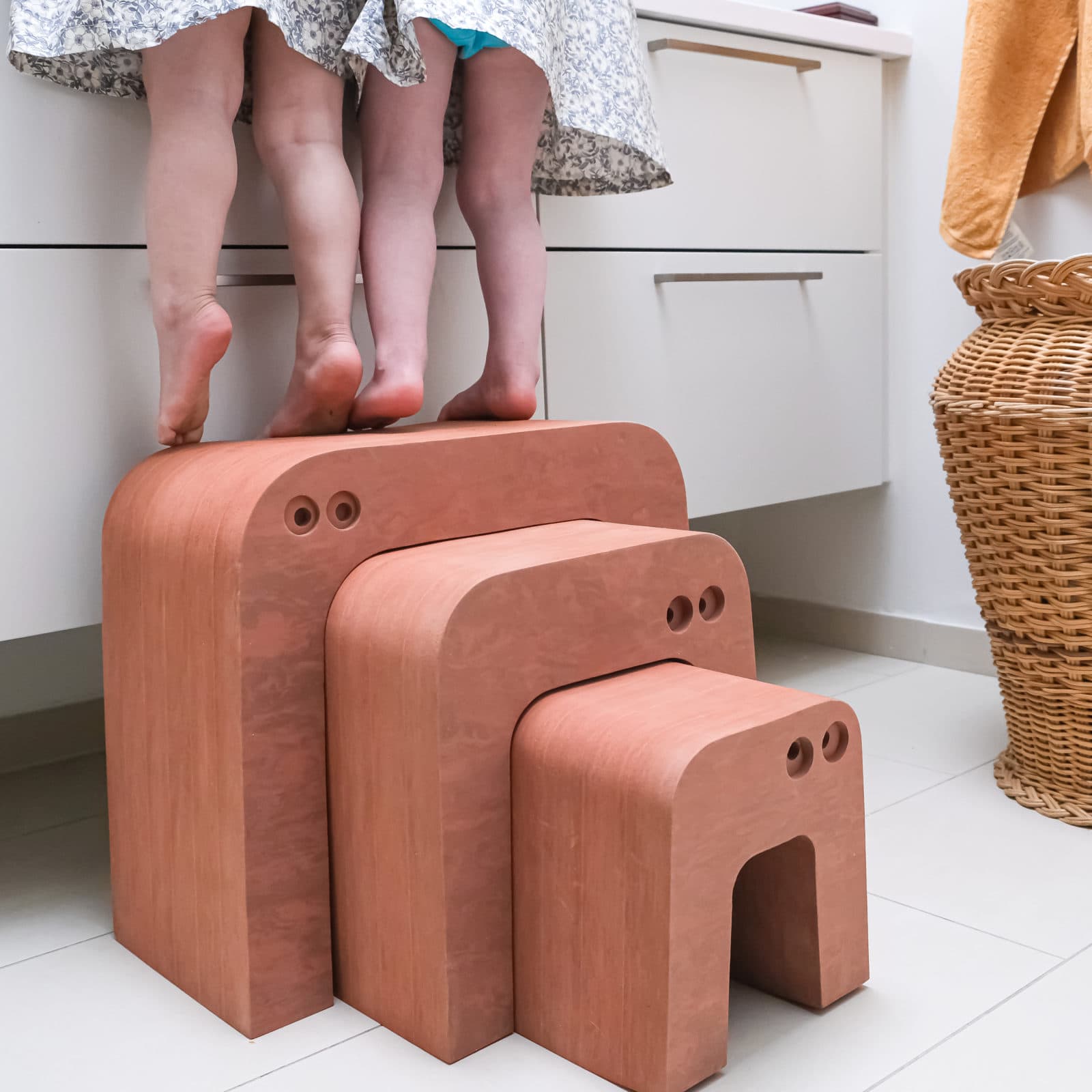 Anteater Terracotta