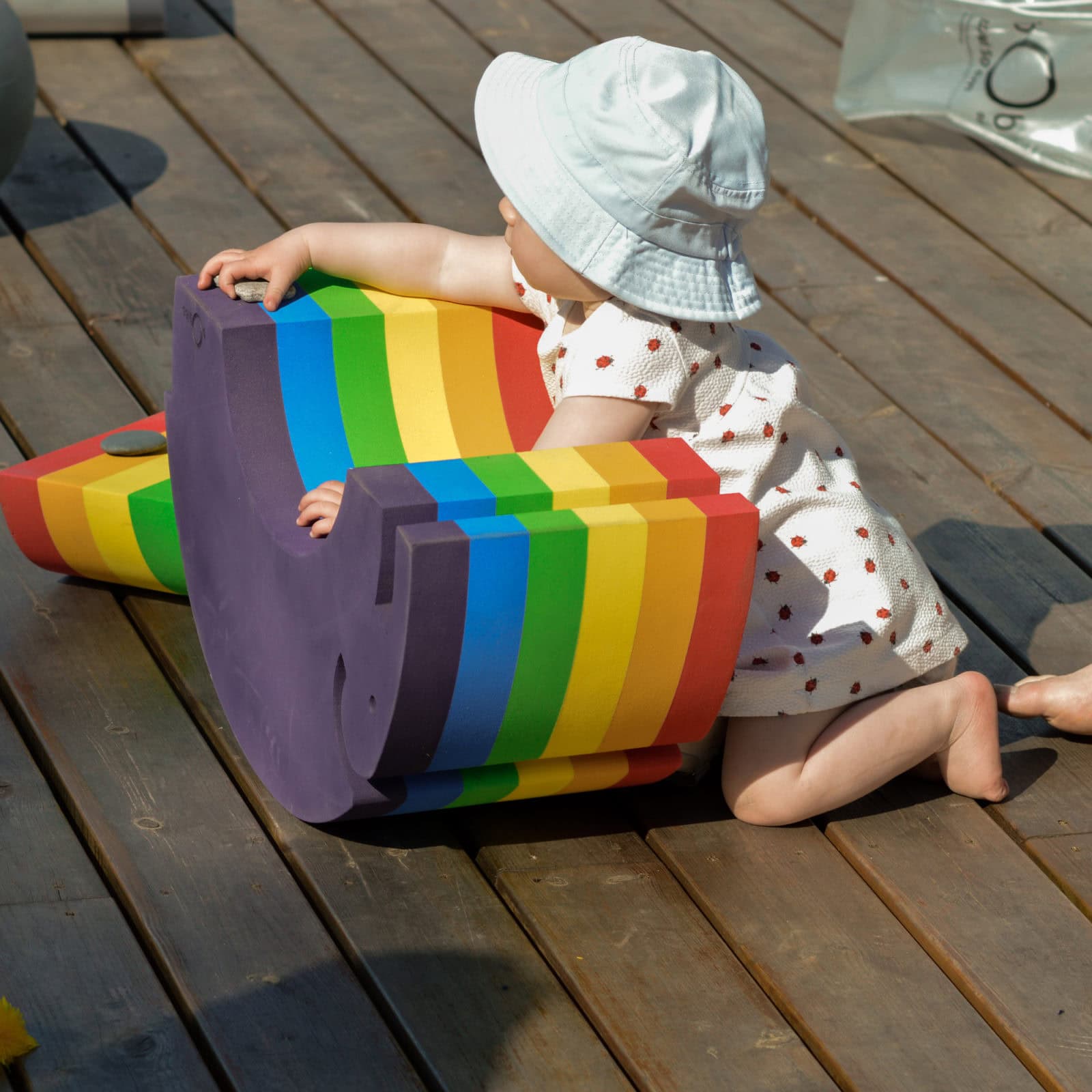Elephant L Rainbow