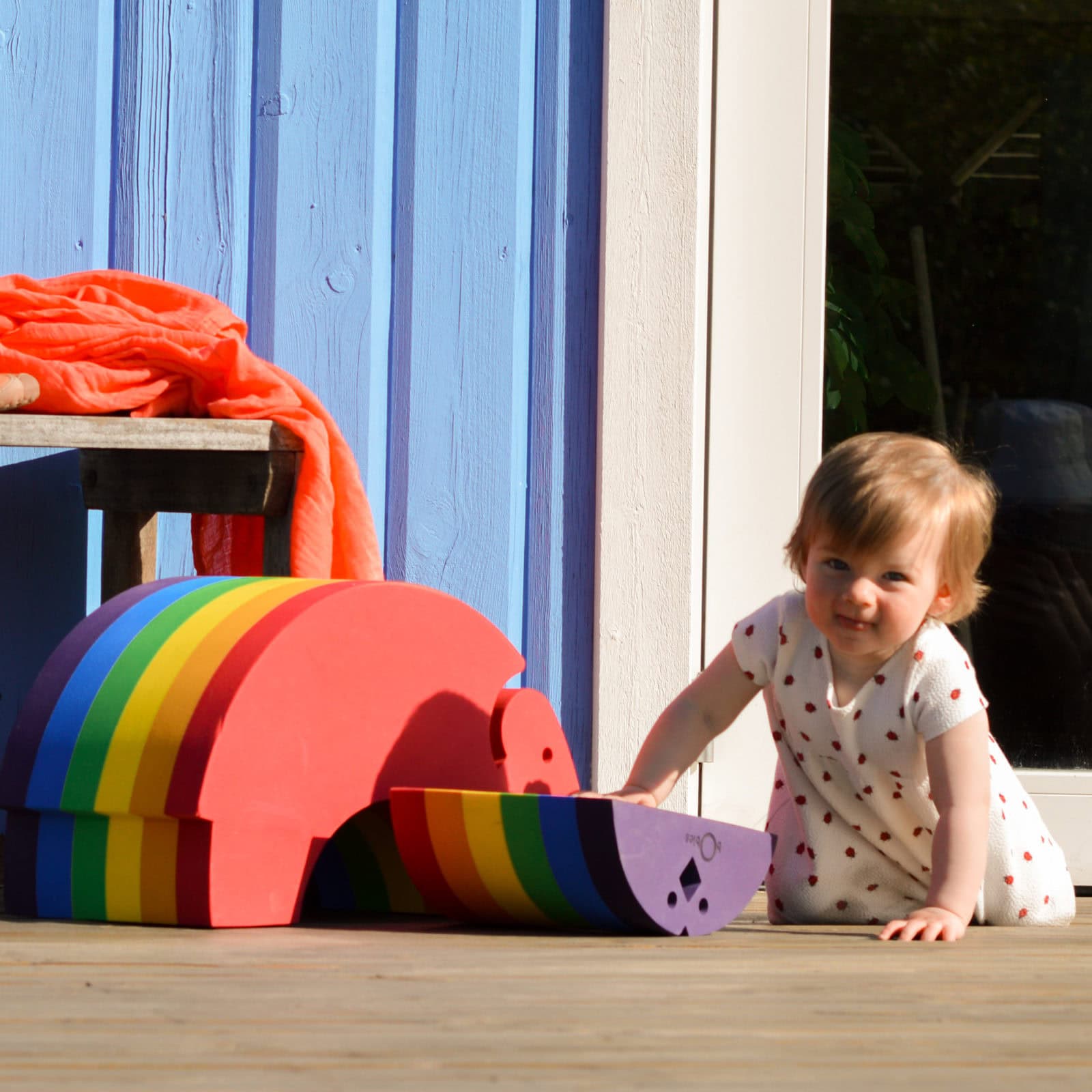 Elephant L Rainbow