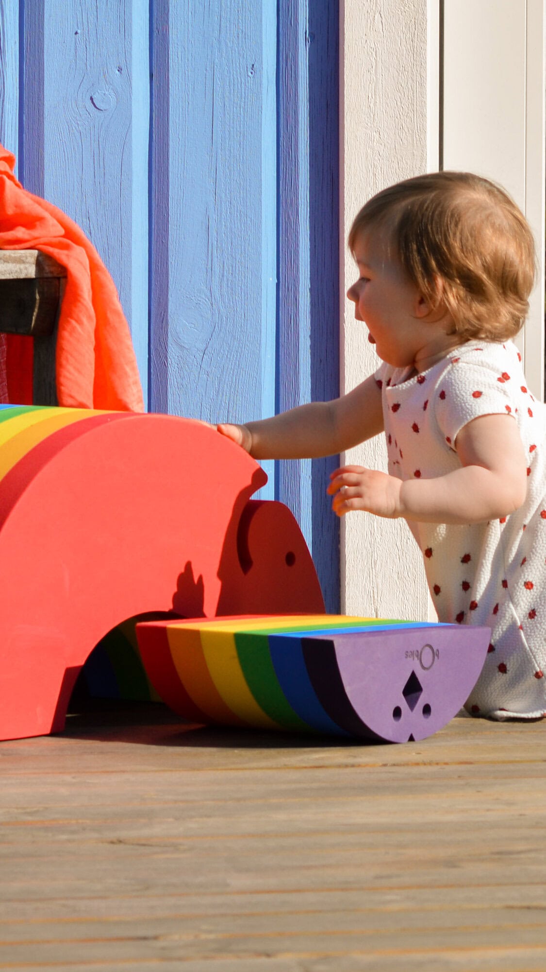 Elephant L Rainbow
