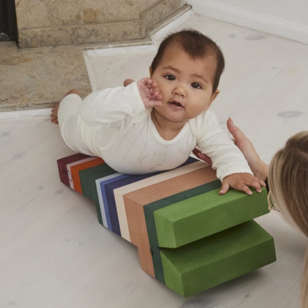 Krokodille M Purple tail mountain