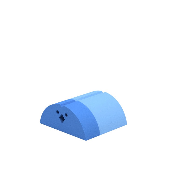 Chicken Sky blue
