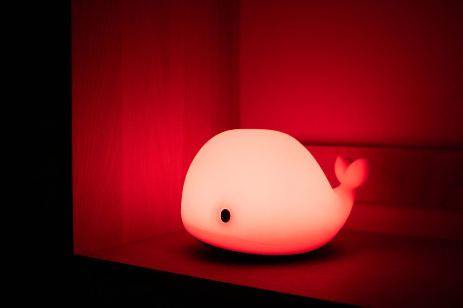 LED light - Christian the whale