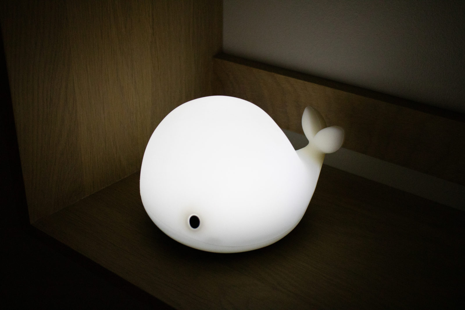 LED light - Christian the whale