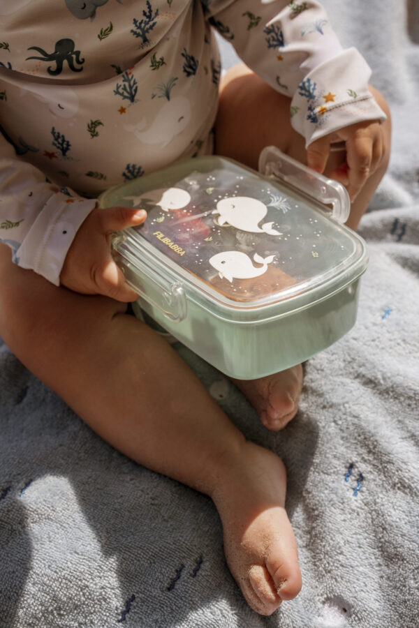 Lunch boxes – 2-pack – Christian's Whale Tales