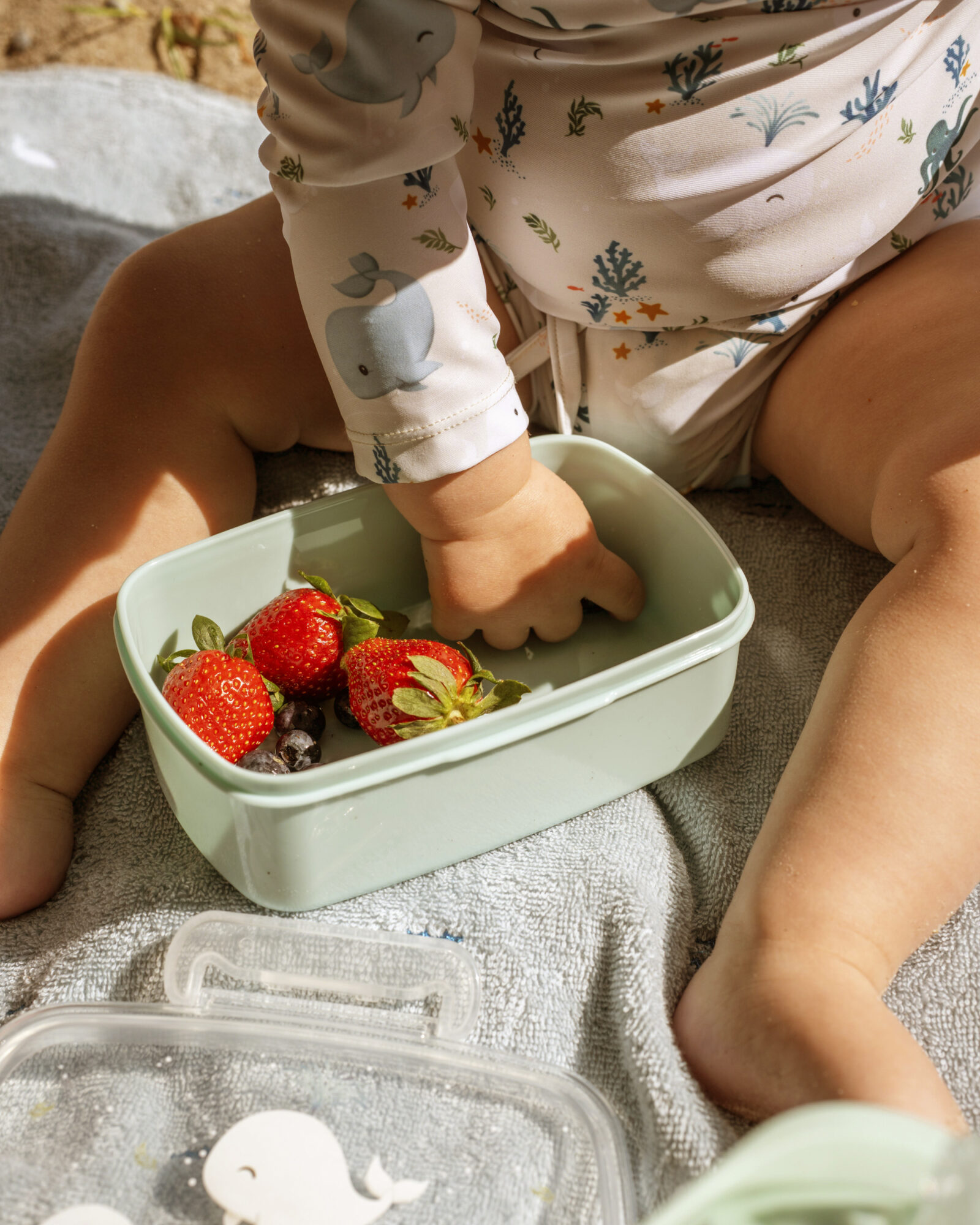 Lunch boxes – 2-pack – Christian's Whale Tales