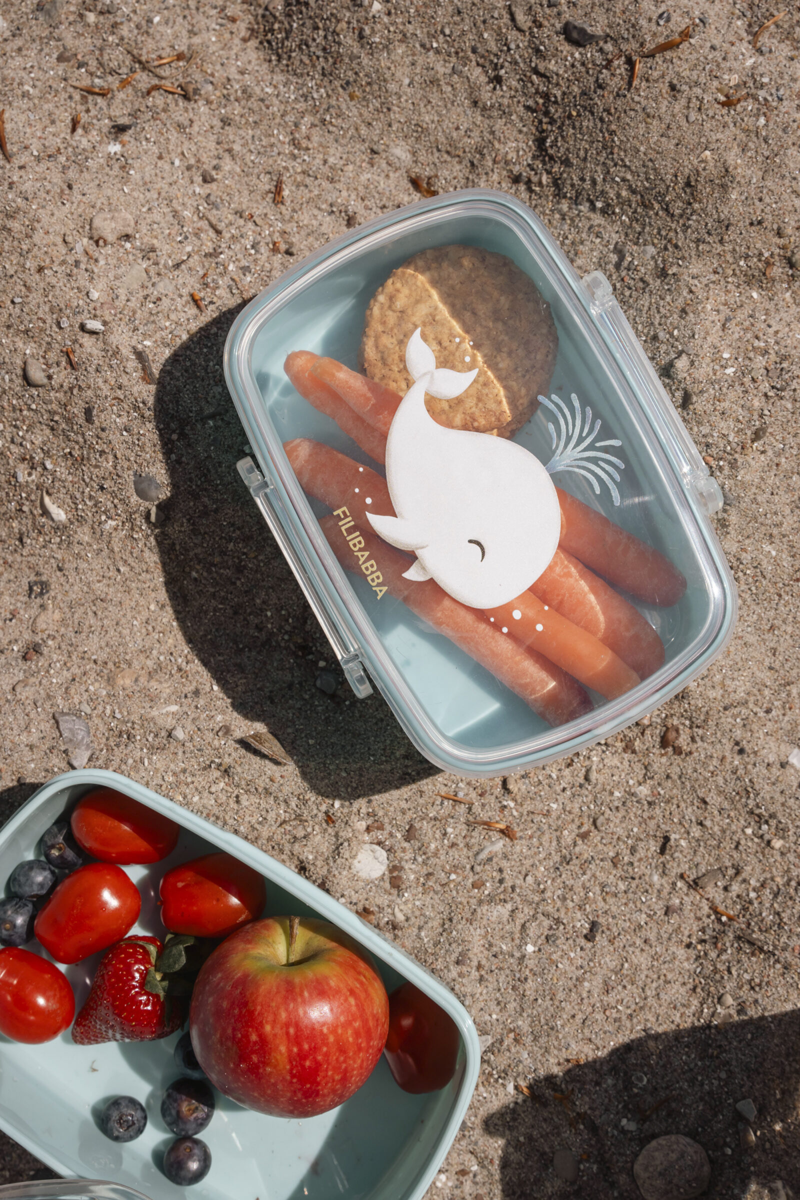 Lunch boxes – 2-pack – Christian's Whale Tales